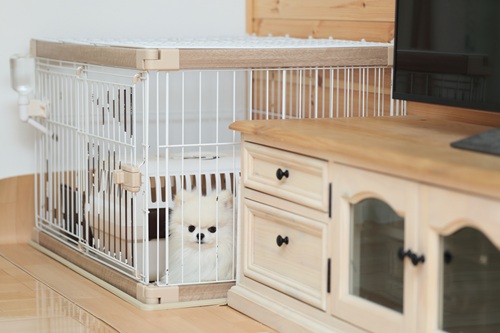 犬を迎え入れる前に準備しておくことは？