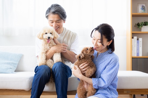 共働きでも飼いやすい犬種とは？
