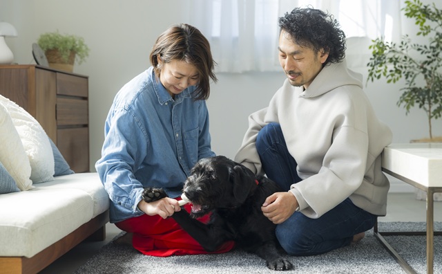 共働きでも犬は飼える？専門家に犬を飼う際の注意点、おすすめの犬種について聞いてみました