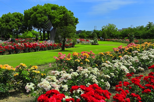 「RSKバラ園」や「造山古墳」など自然を身近に感じることができるエリアです