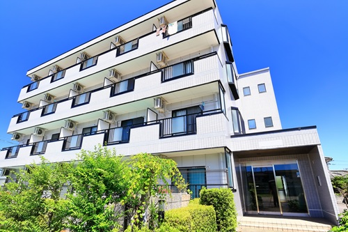 集合住宅・マンション向きの猫種を紹介します