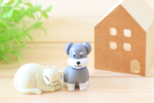 お迎えする猫種が決まったら「ペット可物件」を探しましょう