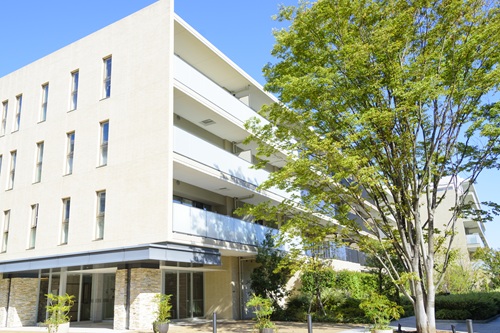 なぜ低層マンションは最強と言われるのでしょうか?