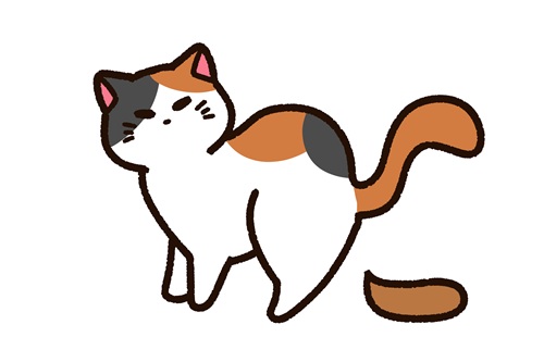 野良猫による主な被害を解説します