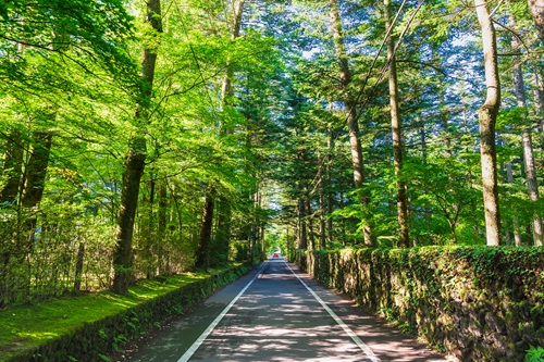 別荘地としても有名な軽井沢。「旧軽井沢銀座」や「軽井沢・プリンスショッピングプラザ」などのスポットも充実しています