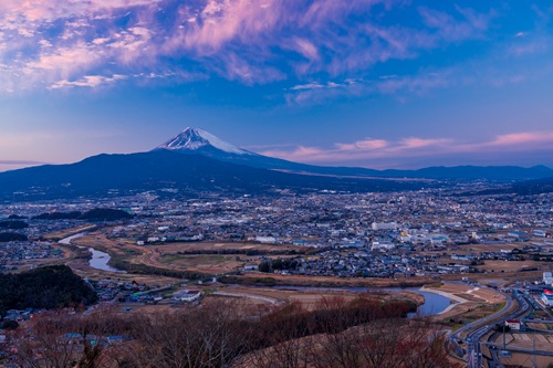 神奈川県に隣接する三島市。三島駅南口を出てすぐの「楽寿園」は散策におすすめです
