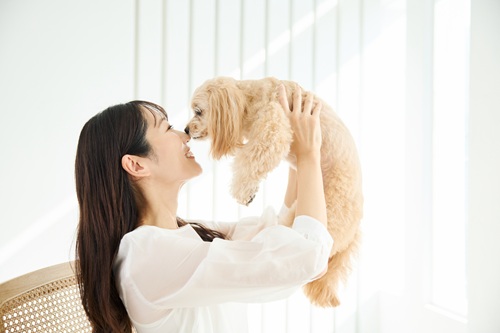 犬の分離不安症の症状とは?