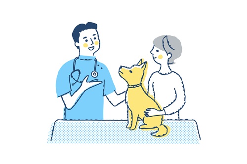 犬の分離不安症を治すことはできるのでしょうか?