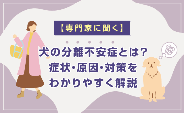 犬の分離不安症について専門家に聞いてみました
