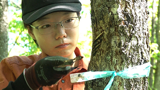 「明日への扉」〜日本の伝統・文化を継承する若者たち〜のイメージ