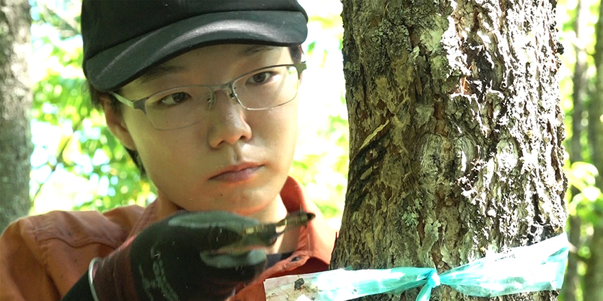 明日への扉イメージ