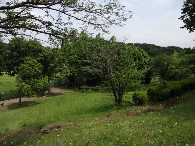 日向山公園（桜美林大学東京ひなたやまキャンパス）