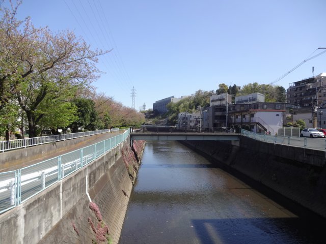 新矢上橋（慶應義塾大学日吉キャンパス）