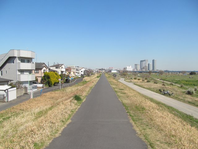 多摩川サイクリングロード（駒澤大学玉川キャンパス）