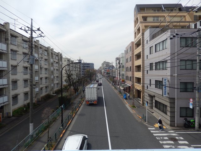 新青梅街道（上智大学石神井キャンパス）