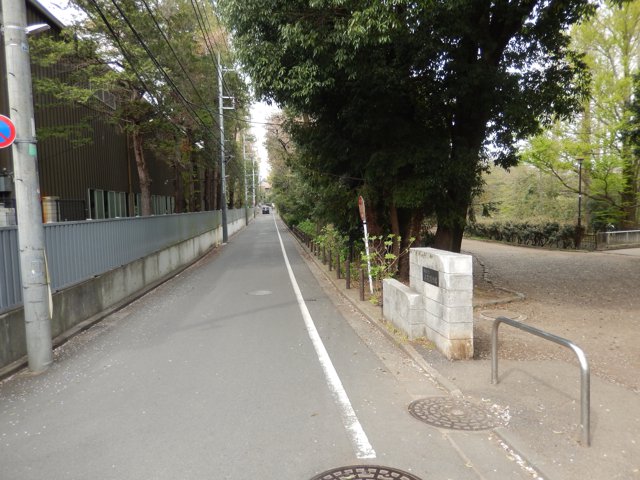 武蔵関公園（上智大学石神井キャンパス）