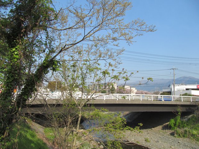 弘法橋（上智大学秦野キャンパス）