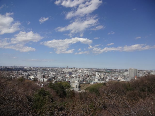 枡形山展望台1（専修大学生田キャンパス）