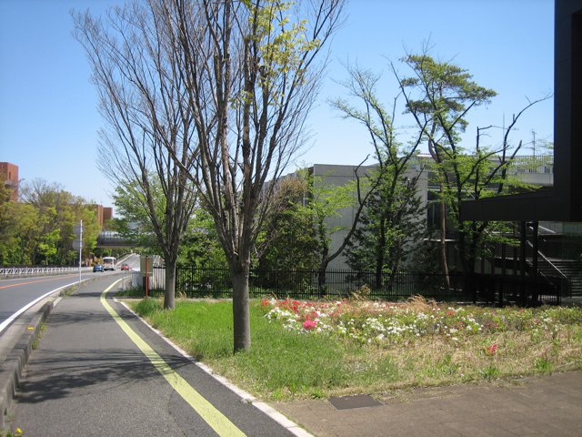キャンパス入口1（大東文化大学東松山キャンパス）