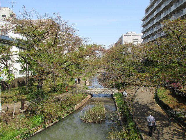 大横川親水公園（千葉工業大学東京スカイツリータウンキャンパス）