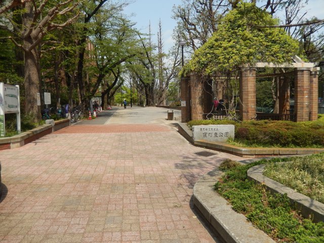 窪町東公園（筑波大学東京キャンパス）