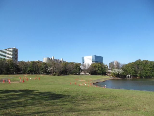 多摩中央公園（帝京大学八王子キャンパス）