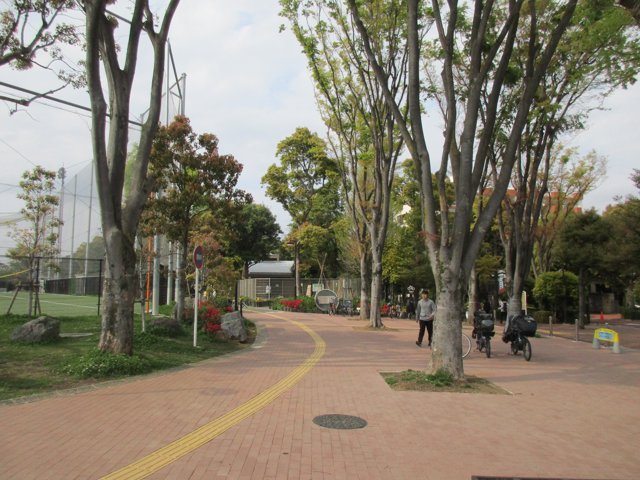 平和の森公園（帝京平成大学中野キャンパス）