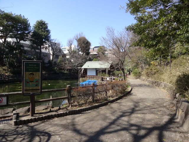 鍋島松濤公園1（東京大学駒場キャンパス）