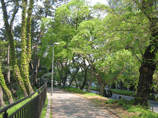 外濠公園（東京理科大学神楽坂キャンパス）