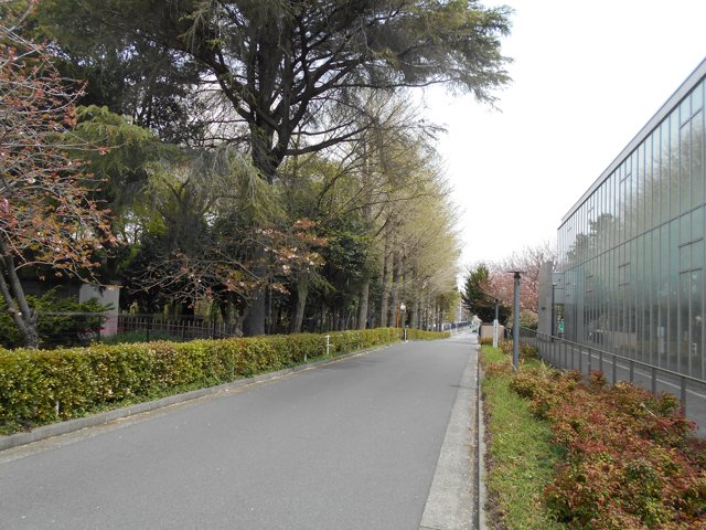 日本大学生物資源科学部通用門3（日本大学生物資源科学部キャンパス）