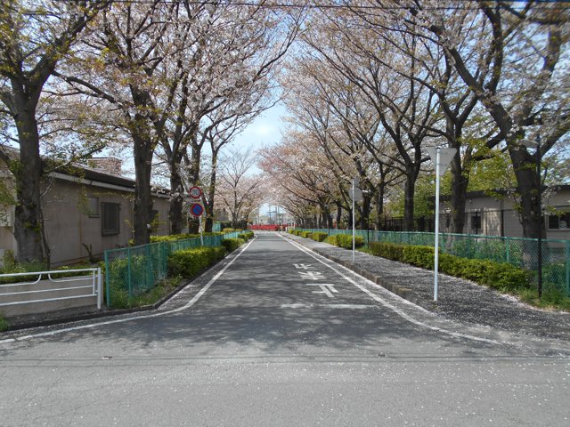 六会436号線小道（日本大学生物資源科学部キャンパス）
