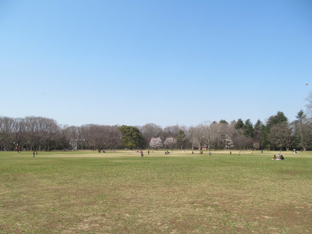 小金井公園2（法政大学小金井キャンパス）
