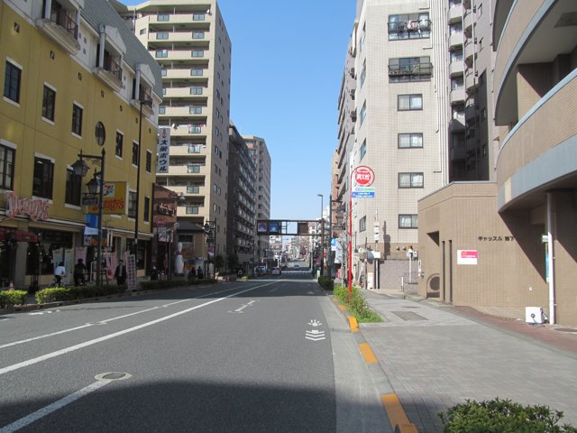 小金井街道（法政大学小金井キャンパス）