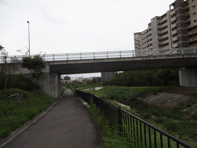 川合裏川（やすらぎ橋）（大阪大学箕面キャンパス）