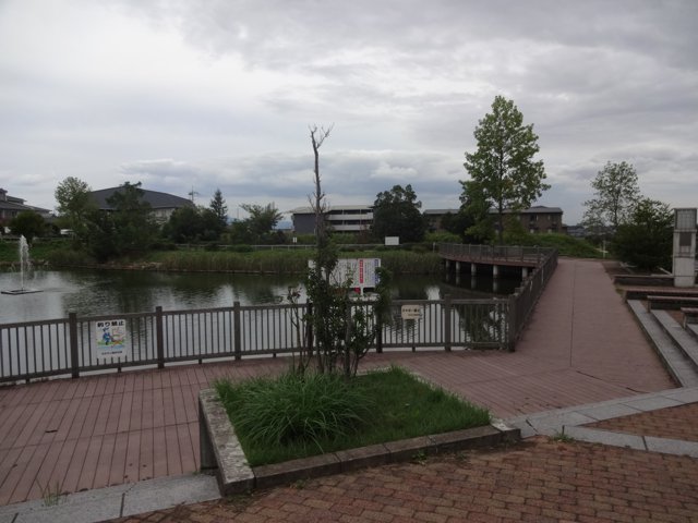 あさぎ里山公園（大阪大学箕面キャンパス）