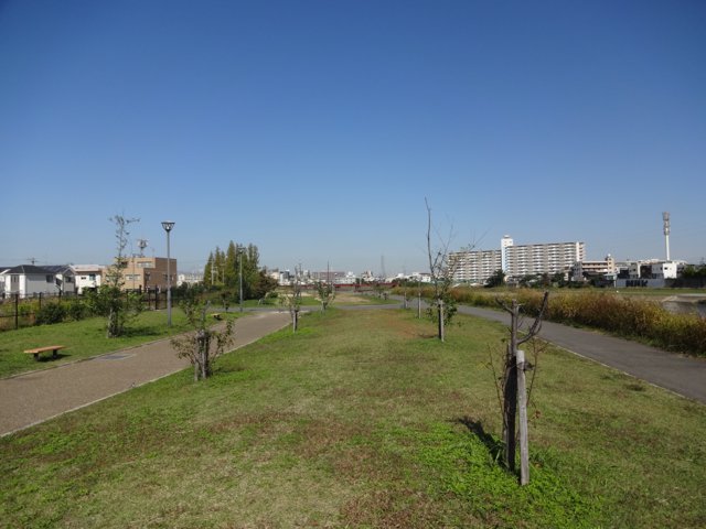 浅香山緑道（関西大学堺キャンパス）
