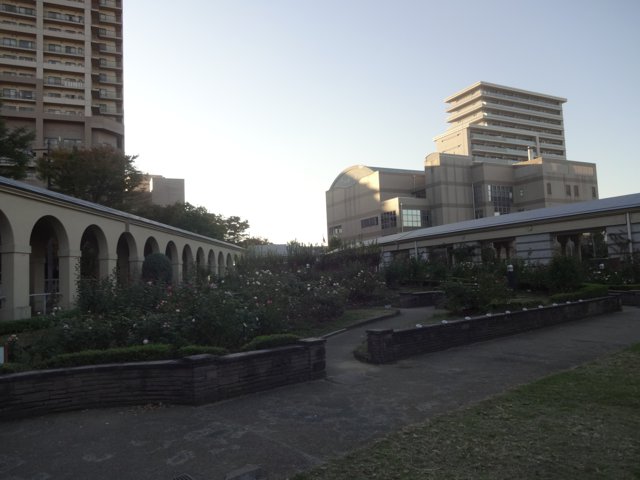 東雲公園（関西大学堺キャンパス）
