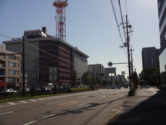 紀州街道（関西大学堺キャンパス）