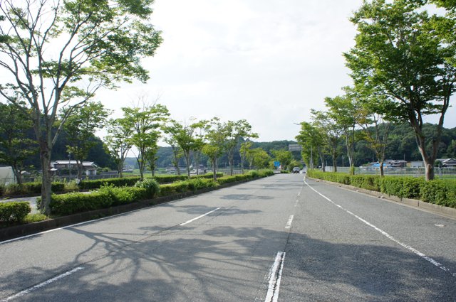 三田幹線道（関西学院大学神戸三田キャンパス）