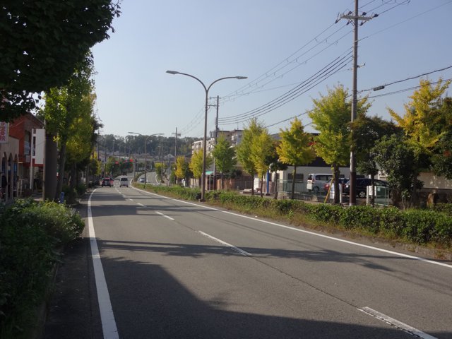 陶器山通り（近畿大学大阪狭山キャンパス）
