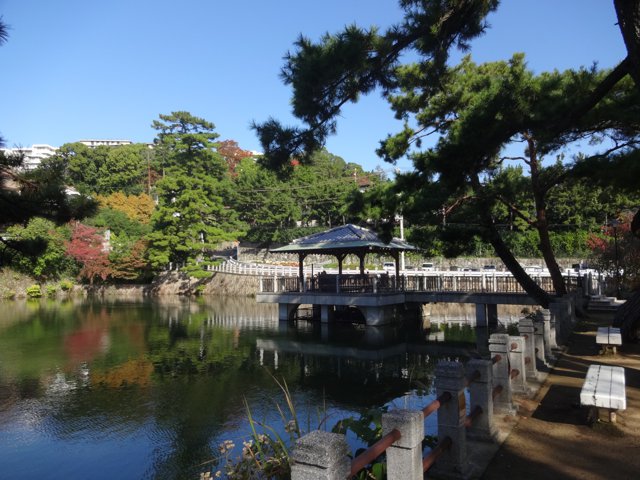 深田池公園（神戸大学鶴甲第１キャンパス）