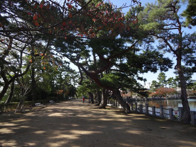深田池公園（神戸大学鶴甲第１キャンパス）
