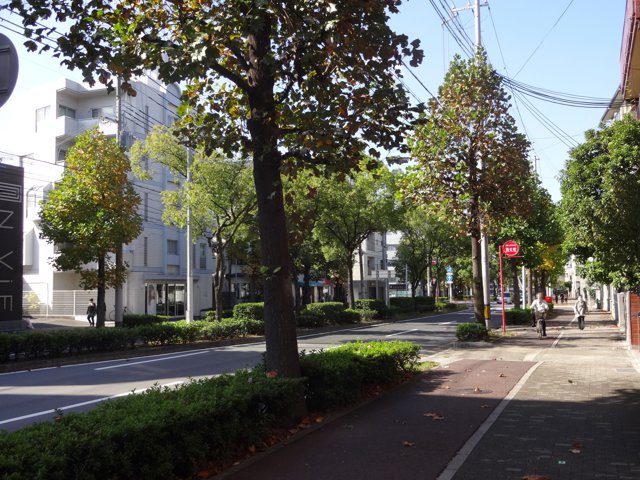 山手幹線（神戸大学鶴甲第１キャンパス）