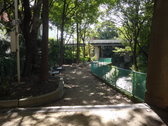 緑道（神戸大学鶴甲第１キャンパス）