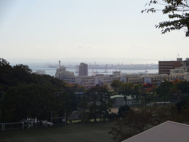 神戸港（神戸大学鶴甲第１キャンパス）
