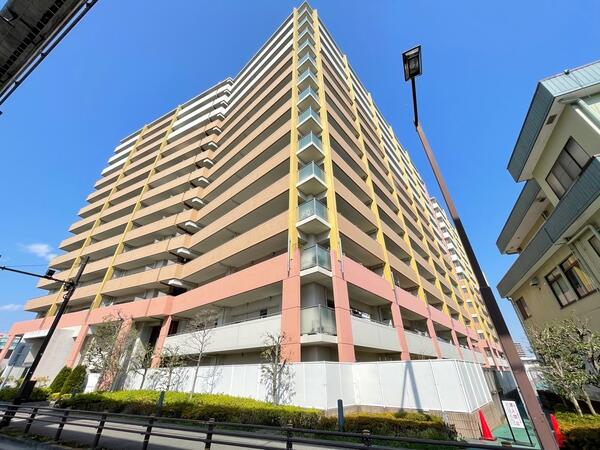 玉川桜　たぬきの小物入れ グリーンコープ玉川上水 東京都東大和市桜が丘3丁目44-17｜2,680