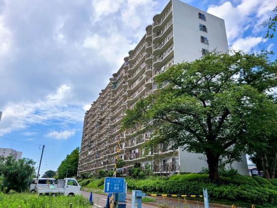 Amazon.co.jp: ゼンリン: 住宅地図 千葉県