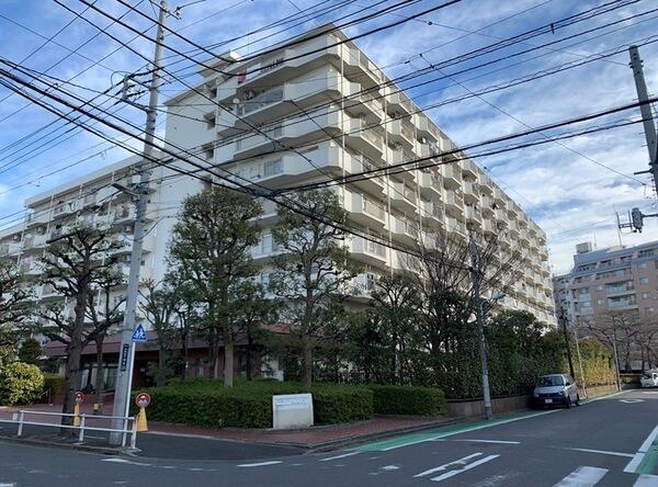 白鳥スカイマンションの建物情報/東京都葛飾区白鳥4丁目
