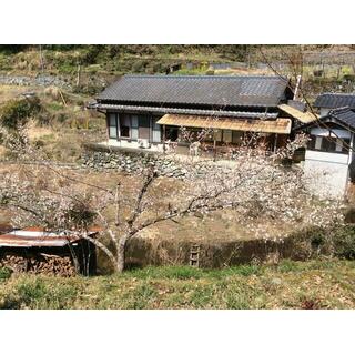 detached 吾川郡仁淀川町宮ケ平