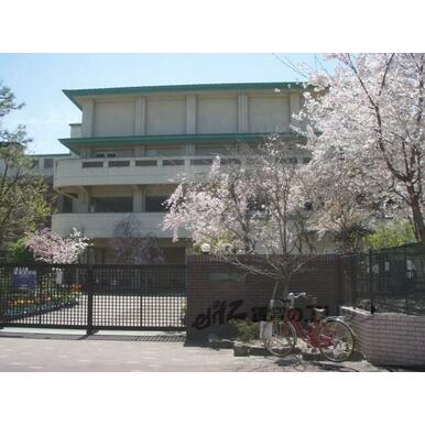 朱雀第三小学校 距離:270m